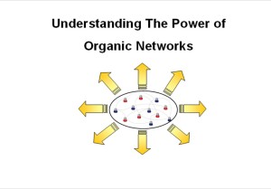 Organic Network 4